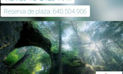 Un Curso de Milagros